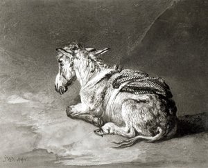 Rustende ezel